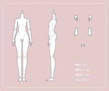 Load image into Gallery viewer, LULU Body 01 - 1/6 BJD Doll Body By LULUDAO